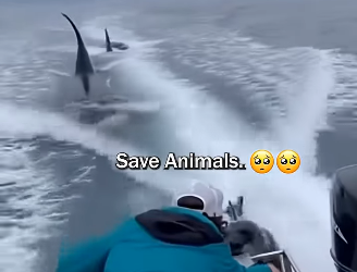 D1501007 A new beginning starts here. (Part 2)