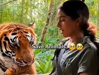 D1501008 Gentle hands, brave hearts. (Part 2)