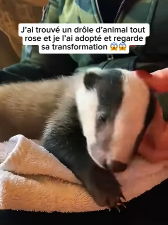 S1901005 ai trouvé un drôle animal tout rose et je ai adopté et regarde (Part 2)