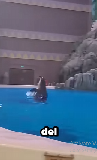 G0501004 Datos de Animales que No te Vas Creer (Parte 2)