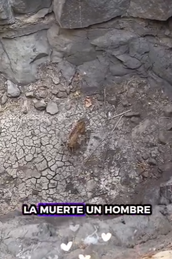 R1901001 Rescata al ciervo (Parte 2)