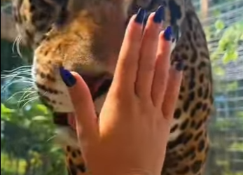 L1901004 Pequenios actos, grandes cambios (Parte 2)