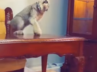 L1901005 La bondad sigue viva (Parte 2)