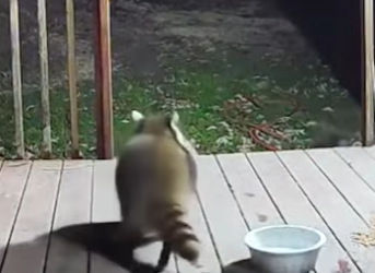 L1901003 Hoy alguien fue salvado (Parte 2)