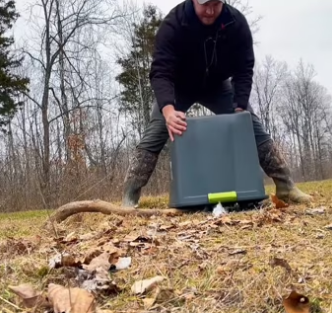 moment bobcat was released back into wild (Part 2)
