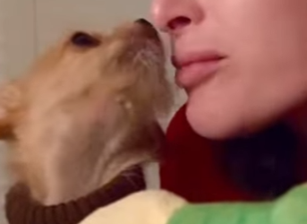 W1901002 He has his own tiny wine glass(Part 2)