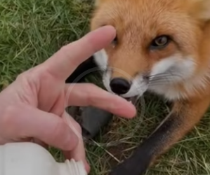 P1901005 Because helping is always worth it (Part 2)