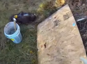 knew releasing bobcat would be risky (Part 2)