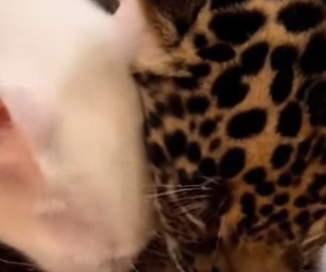 P1901004 Care brings courage and comfort (Part 2)