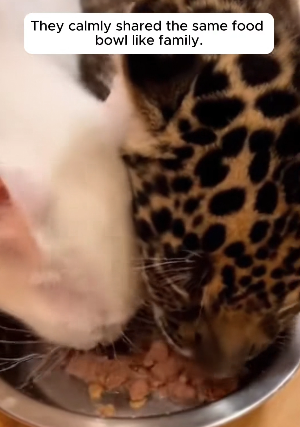 P1901004 Care brings courage and comfort (Part 2)