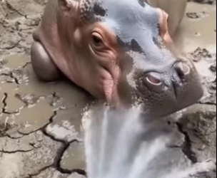 P1901002 No longer alone in this world (Part 2)