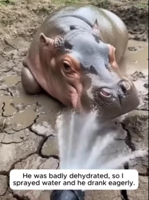 P1901002 No longer alone in this world (Part 2)