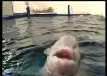 C1601008 Rescue changes worlds. (Part 2)