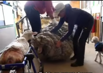 What kindness can do in seconds (Part 2)