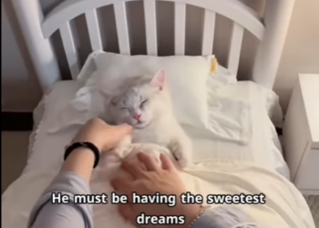 C1601015 Compassion creates real change. (Part 2)