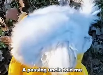 E1901001 owner believed in superstition locked dog in park and (Part 2)