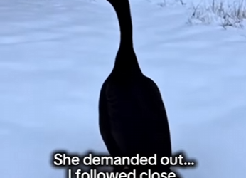 P2001003 Today kindness made a difference (Part 2)