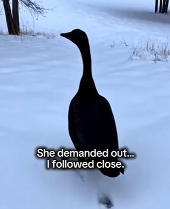 P2001003 Today kindness made a difference (Part 2)