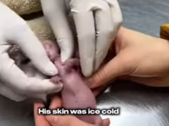 P2001006 One moment of mercy can save a life (Part 2)