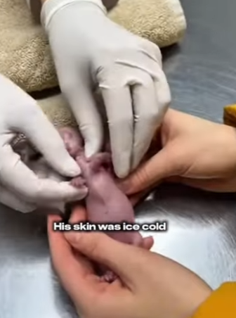 P2001006 One moment of mercy can save a life (Part 2)