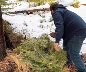 Wait last seconds (Part 2)