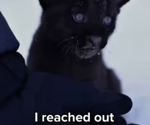 P2001002 Every rescue tells a story of hope (Part 2)