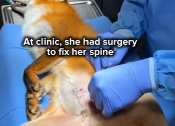 P2001005 Where love goes, healing follows (Part 2)