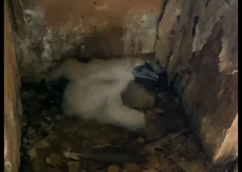 I1901003 Love arrives when hope is fading (Part 2)