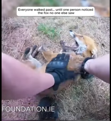 I1901002 Kindness can change a destiny (Part 2)