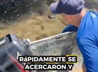 R0501005 Zarigüeyas de rescate (Parte 2)