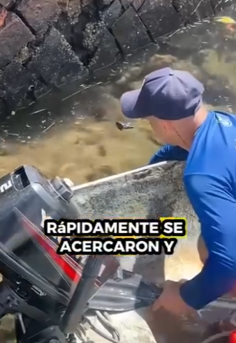 R0501005 Zarigüeyas de rescate (Parte 2)