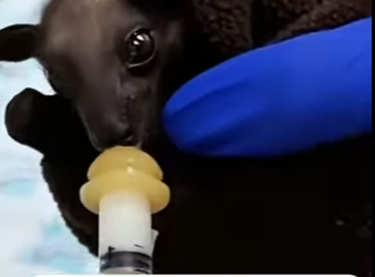 S2001002 Je découvre cette drôle de chose dans ma cuisine et je (Part 2)