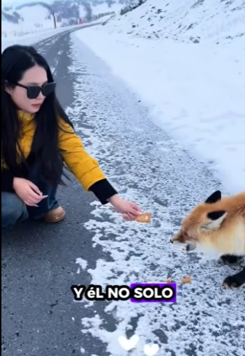 R2001002 Rescata al zorro (Parte 2)