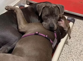 Turning fear into comfort (Part 2)