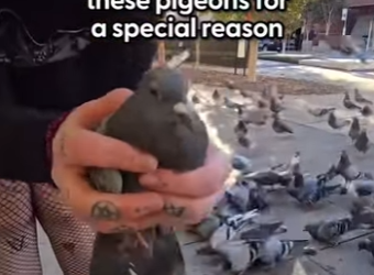 W2001006 Safe because someone cared (Part 2)