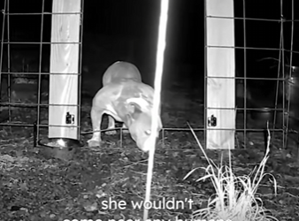 W2001002 Today kindness made a difference (Part 2)