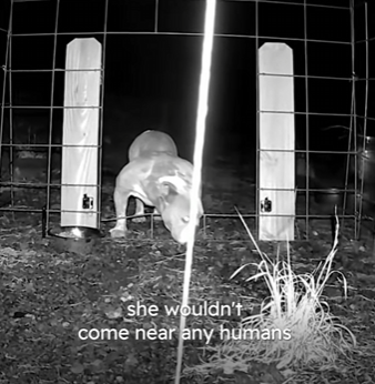 W2001002 Today kindness made a difference (Part 2)