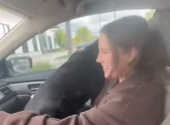 W2001001 Every rescue tells a story of hope (Part 2)