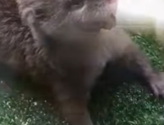 D2001006 From pain to peace and healing (Part 2)