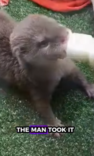 D2001006 From pain to peace and healing (Part 2)