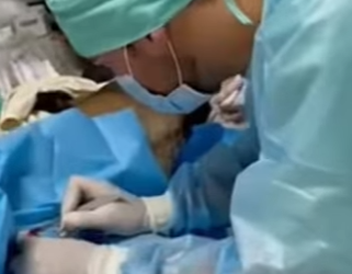 R0501007 Rescate de ciervos (Parte 2)