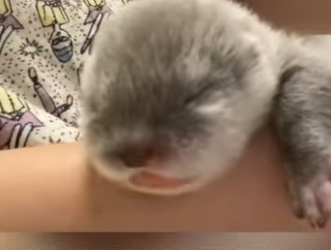 D2001007 Love never gives up (Part 2)