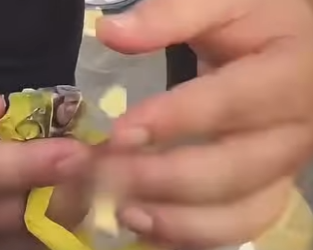 D2001001 A gentle start to a better life (Part 2)