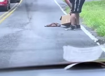 D2001004 Because no life should be forgotten (Part 2)