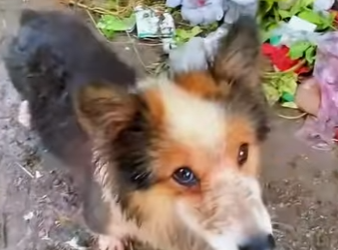 E2001006 From fragile to protected and safe (Part 2)