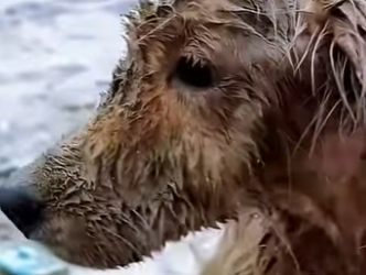 E2001004 Care brings courage and comfort (Part 2)