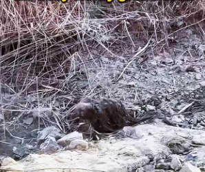 E2001003 No longer alone in this world (Part 1)