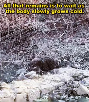 E2001003 No longer alone in this world (Part 1)