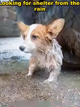 E2001005 Love turns fear into trust (Part 2)