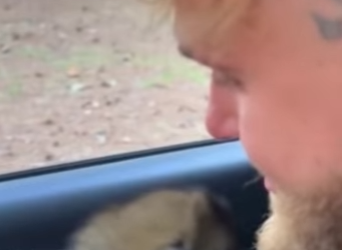 R2101001 Rescata al lobo (Parte 2)